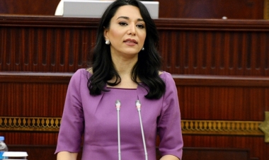 Ombudsman: “İnsan Hüquqları üzrə Komissardan daha ədalətli yanaşma gözlənilsə də...”